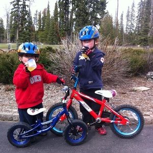 Meet your Posher, Harrison